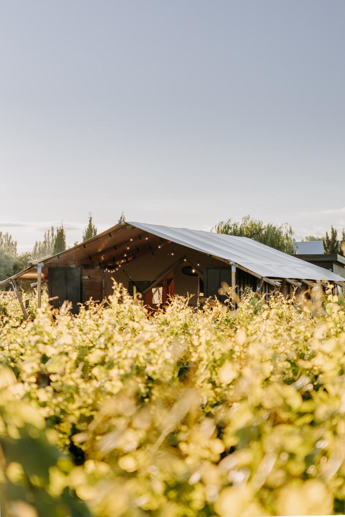 Villas & Vines Glamping Hastings Exterior foto